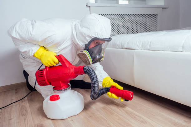 Best Bed Bug Extermination  in Pitola, CA